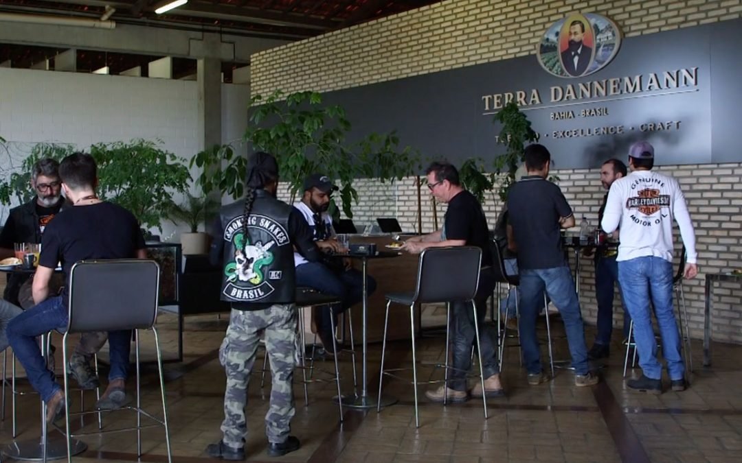 Dannemann Harley 2018